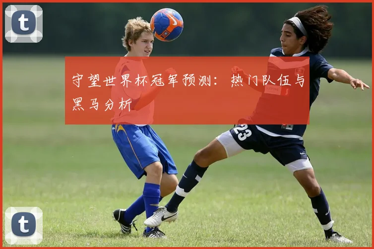 守望世界杯冠军预测：热门队伍与黑马分析